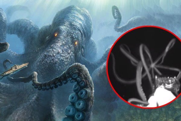 Кракен мефедрон